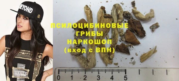 экстази Богородицк