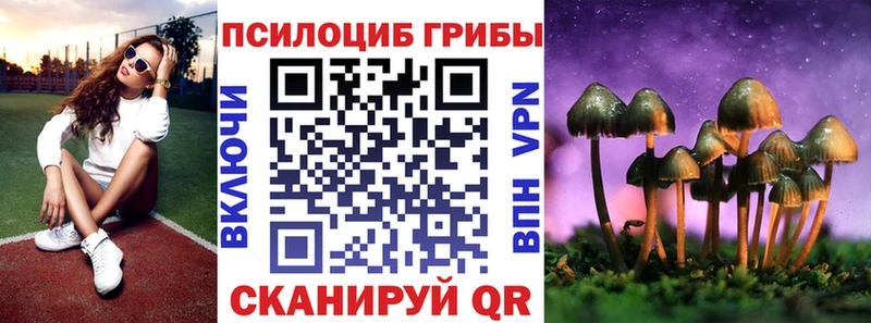 Галлюциногенные грибы прущие грибы  что такое   Богучар 